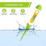 Easy@Home Digital Thermometer for All Ages