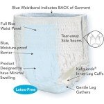 Swimmates Disposable Adult Swim Underwear, Youth XL