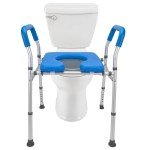 Raised Toilet Seat with Safety Frame - 400 Lb Capacity