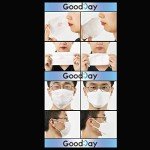 Good Day Korea KF-94 Disposable Face Masks - 10 Pack