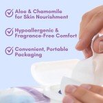 XL Antibacterial Body & Hand Wipes - Alcohol-Free