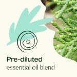 KidSafe Sniffle Stopper Essential Oil Roll-On 10 mL