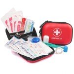 Compact First Aid Kit for Travel and Outdoor Use