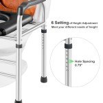 Adjustable Raised Toilet Seat with Handles for Seniors