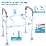 Raised Toilet Seat with Handles for Seniors