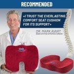 Doctor Recommended Memory Foam Seat Cushion for Pain Relief