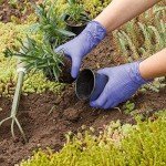 Biodegradable Disposable Nitrile Gloves - 150 Count