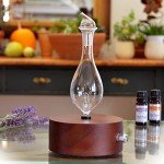 Aromatherapy Diffuser - Premium Wood & Glass Nebulizer