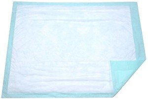 Extra Large Disposable Incontinence Bed Pads - 10 Count