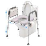 Raised Toilet Seat with Handles for Seniors