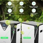 DeKaSi Portable Oxygen Generator OxySure SH8