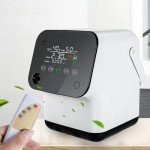 Adjustable Portable Oxygen Generator for Home Use