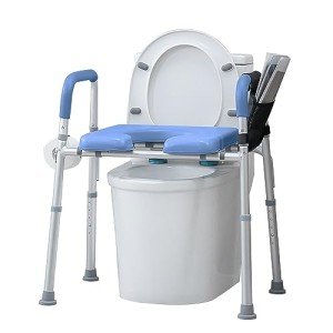 Raised Toilet Seat with Armrests and Padded Support