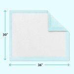 Super Absorbent Disposable Incontinence Underpads, 75 Count