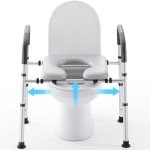 Toilet Seat Riser with Handles for Seniors