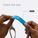 ResMed AirFit/AirTouch N20 Replacement Headgear, Medium