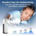 Mini Portable Nebulizer for Home and Travel