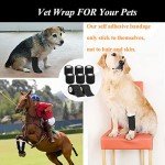 Black Self-Adhesive Cohesive Bandage Wrap - 2 Inch