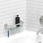 Brushed Nickel Grab Bar with Tempered Glass Shelf