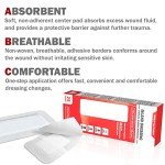 Everlit Large Adhesive Bordered Gauze Dressings