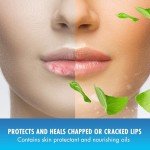 Natural Ice Sport - 48 Tubes, 0.16 Ounce Each