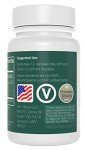 Zen Haus Respiratory and Immune Supplement - Elderberry with Zinc, Quercetin, Magnesium Glycinate/Taurate, Echinacea, Olive Leaf Extract, Lysine, Leucine, Cystein, Melatonin (60 Capsules)