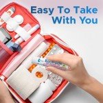 Globe Bacitracin Zinc Ointment with Aloe 4 Pack