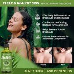 Tea Tree Body Wash for Skin Care & Odor