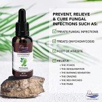 Podocure Anti-Fungal Solution with Undecylenic Acid 30ml