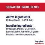 Aquaphor Maximum Strength Itch Relief Ointment, 2 oz