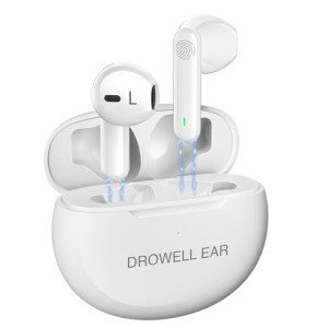 Rechargeable Hearing Aids with Noise Canceling