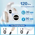 Rechargeable Hearing Aids with Noise Cancellation