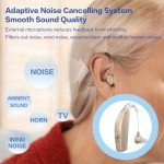 Rechargeable Hearing Aids with Noise Cancellation