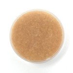 Hearing Aid Dryer Cup with Desiccant Kit