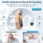Rechargeable RIC Hearing Aids with Noise Cancelling