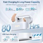 Rechargeable RIC Hearing Aids with Noise Cancelling