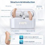Rechargeable RIC Hearing Aids with Noise Cancelling
