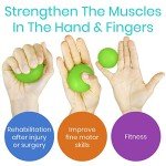 Vive Hand Therapy Squeeze Balls for Grip Strength