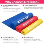 Resistance Bands for Exercise and Physical Therapy