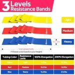 Resistance Bands for Exercise and Physical Therapy