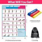 Resistance Bands for Exercise and Physical Therapy