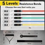 Resistance Band Set for Workouts and Therapy