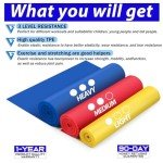 Haquno Resistance Bands Set for Exercise & Rehab