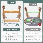 Set of 5 Resistance Bands for Fitness & Therapy