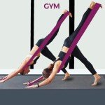 AzureLife Non-Latex Resistance Bands for Therapy & Workouts