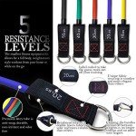 TheFitLife Resistance Bands Set with Handles and Extras