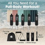 Retrospec 5-Piece Resistance Bands Set with Accessories