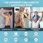 Orange Resistance Bands for Exercise and Pull-Ups