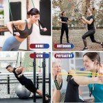 WIKDAY Resistance Bands Set for Home Workouts
