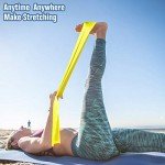 HAIBEI Resistance Bands Set for Therapy and Workouts